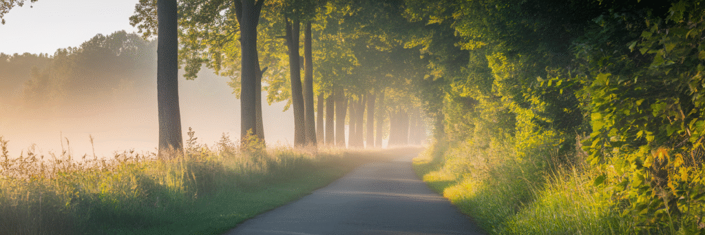 Hopeful walking path in Shenandoah National Park.