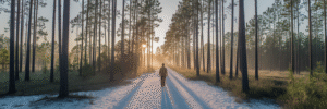 Person walking on a sunlit path in Florida.
